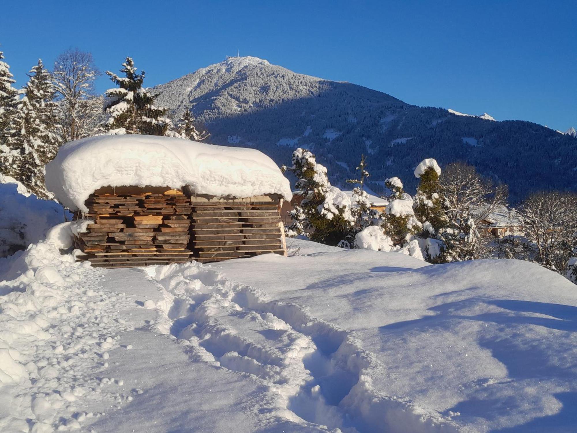 Haus Hotz Apart Talblick Grins Bagian luar foto