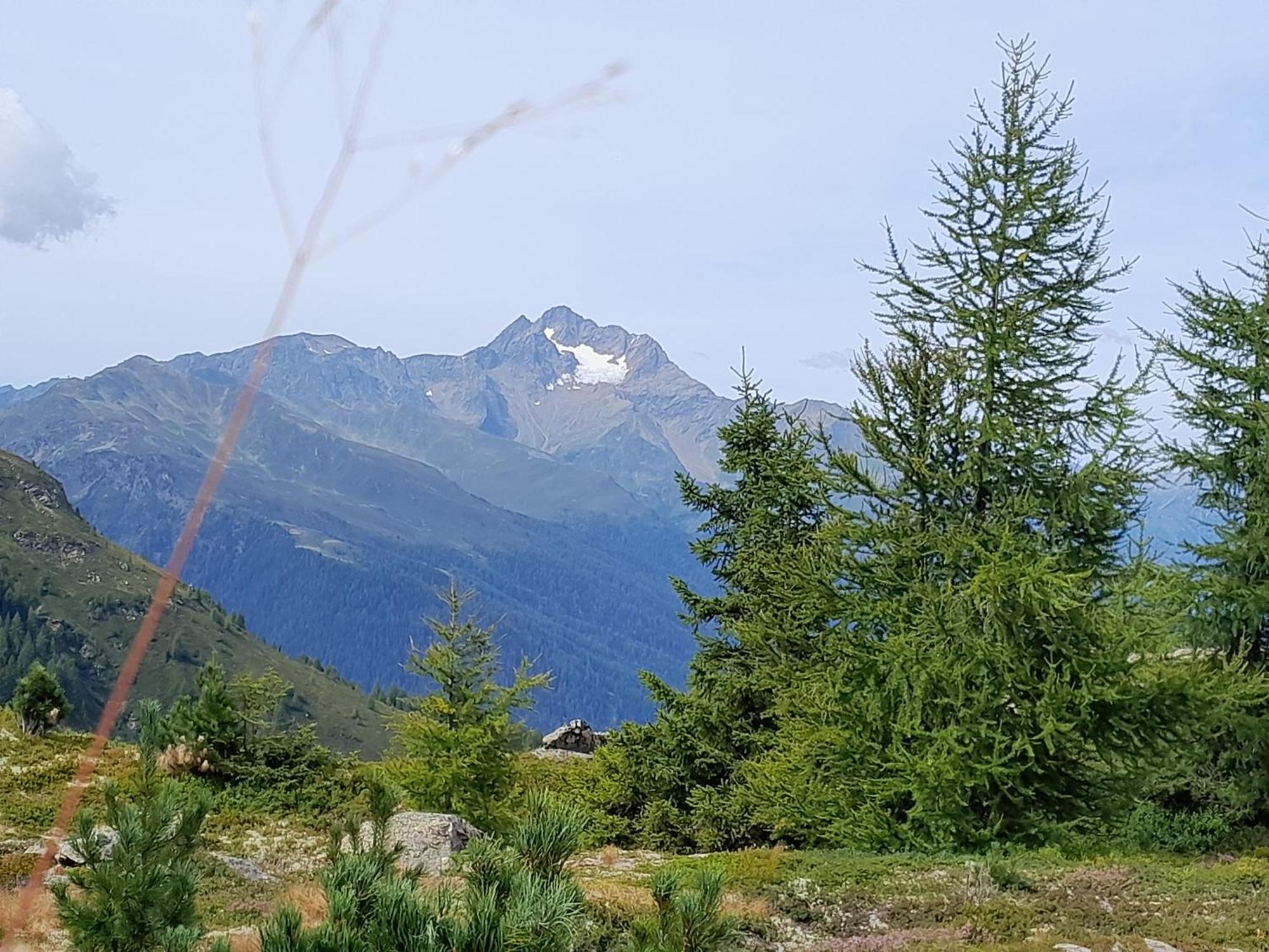 Haus Hotz Apart Talblick Grins Bagian luar foto