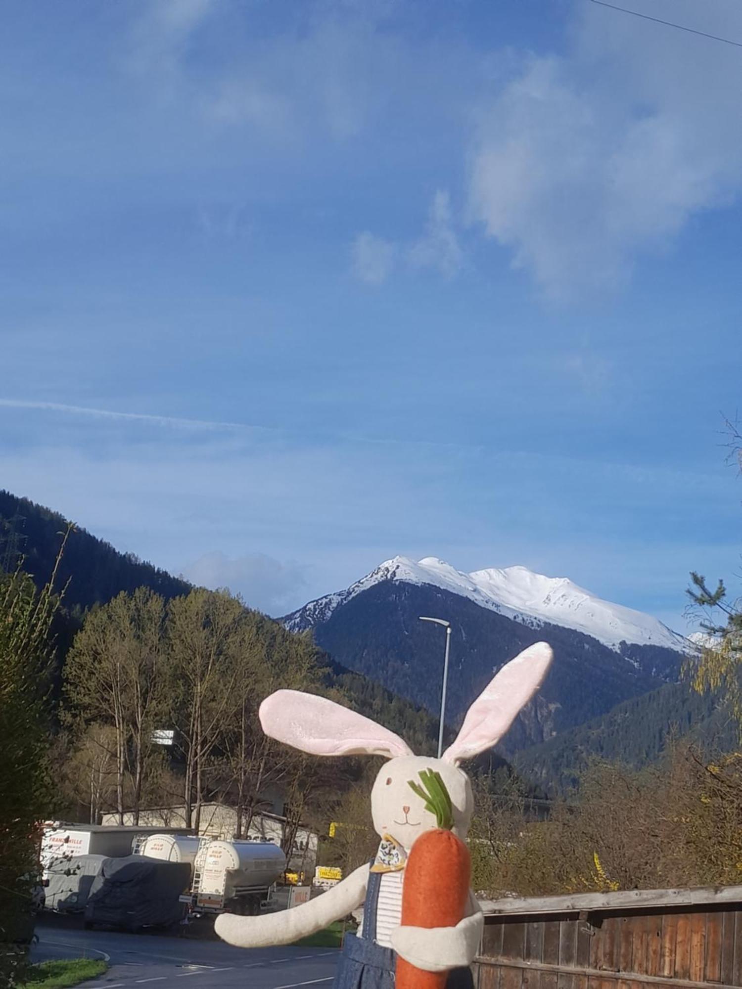 Haus Hotz Apart Talblick Grins Bagian luar foto